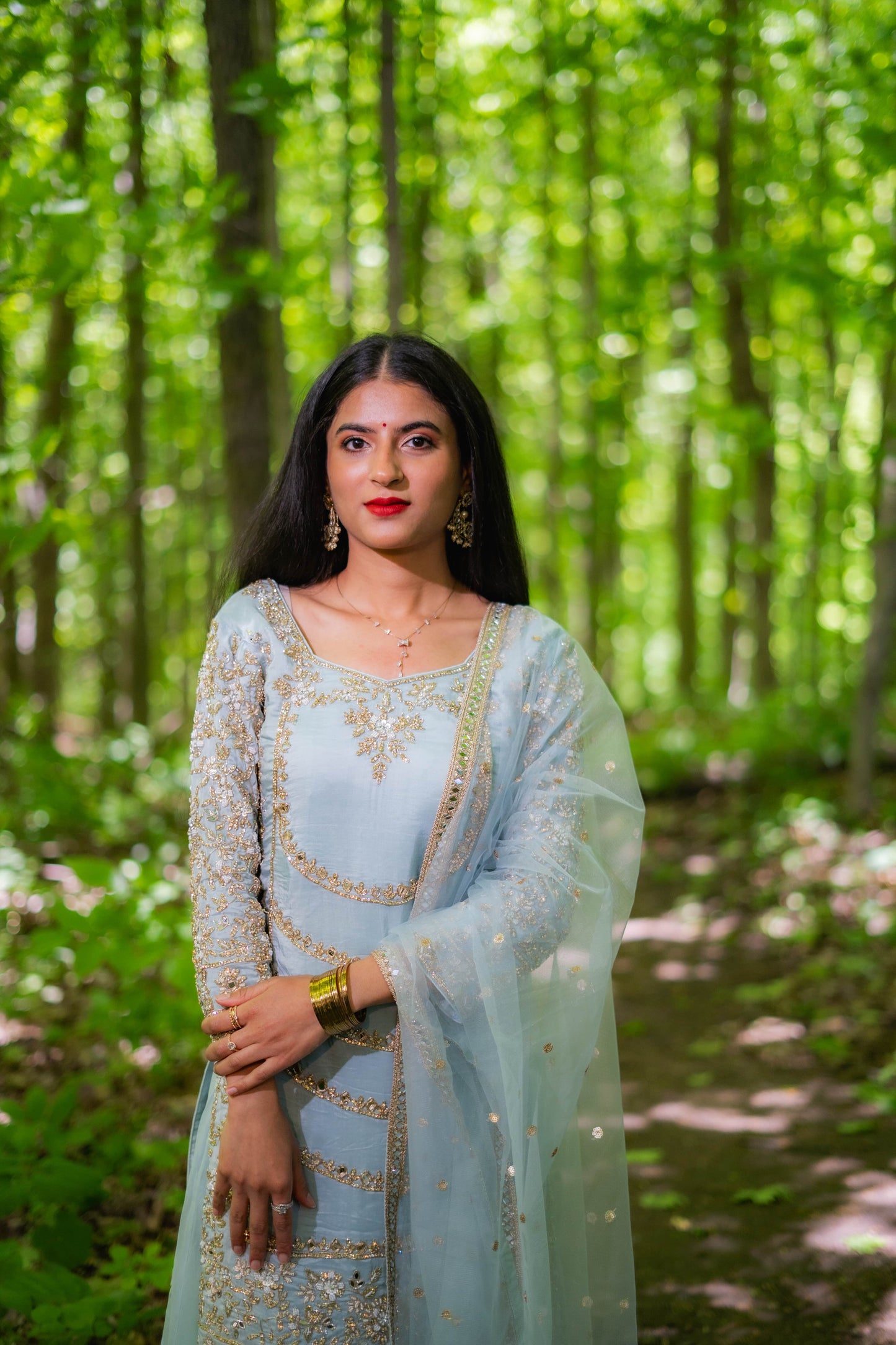 Grey & Blue Organza Punjabi Salwar Suit – Bridal Grace