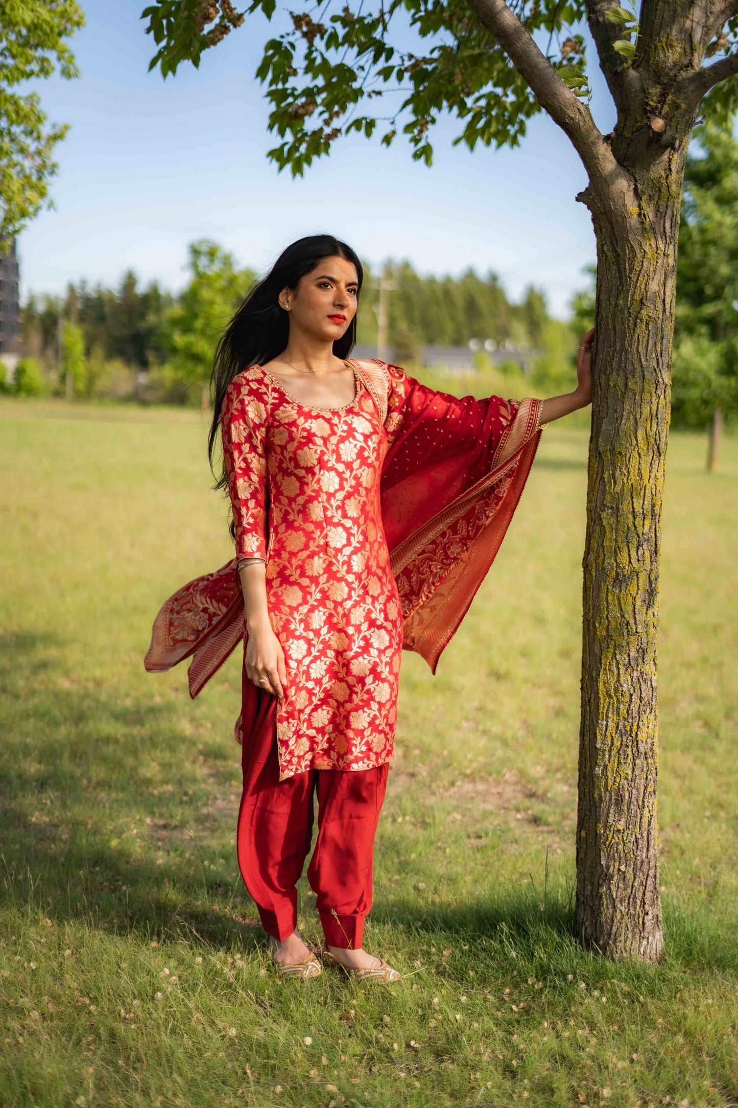 Banarasi Salwar Suit – Versatile Elegance