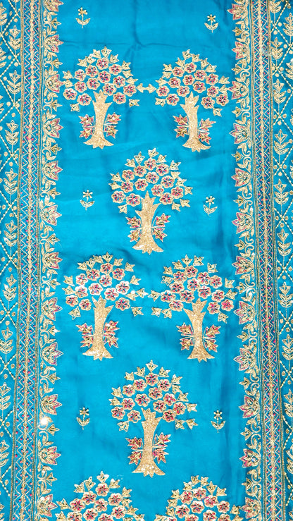 feroji Organza With Pearl Design