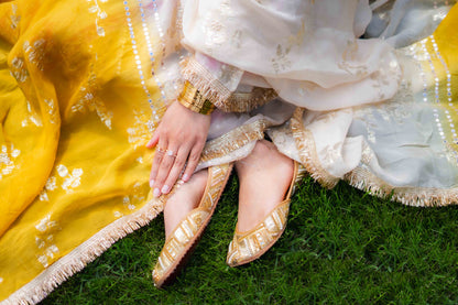 Two-Tone Organza Bridal Suit – Dabka &amp; Sequence Detail