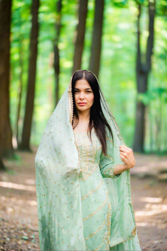Gota & Zardozi Punjabi Suit – Groupwear Favorite
