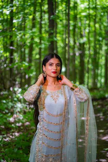 Grey & Blue Organza Punjabi Salwar Suit – Bridal Grace