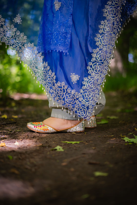 Grey & Blue Organza Punjabi Salwar Suit – Bridal Grace